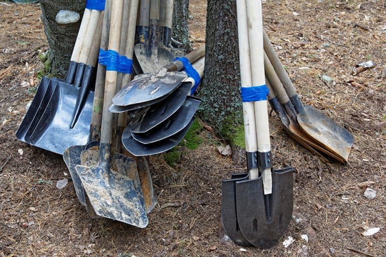 Types of Shovels Purpose Explained Seeds N' Flowers