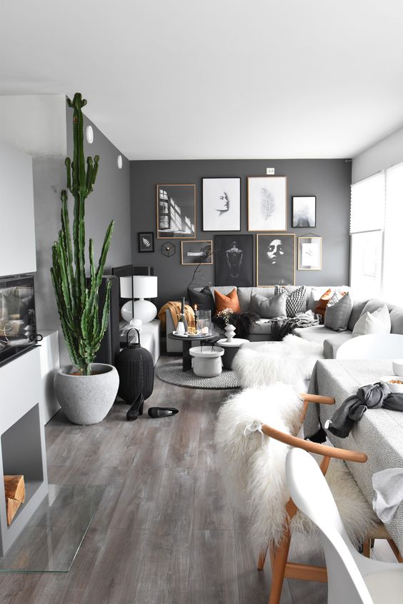 Tall Cactus Adds Dramatic Verticality to a Dark Room