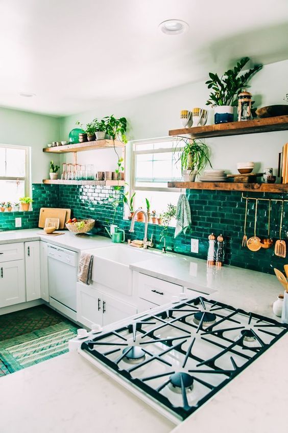 Open Shelving With Plants and Mugs Adds Natural Greenery