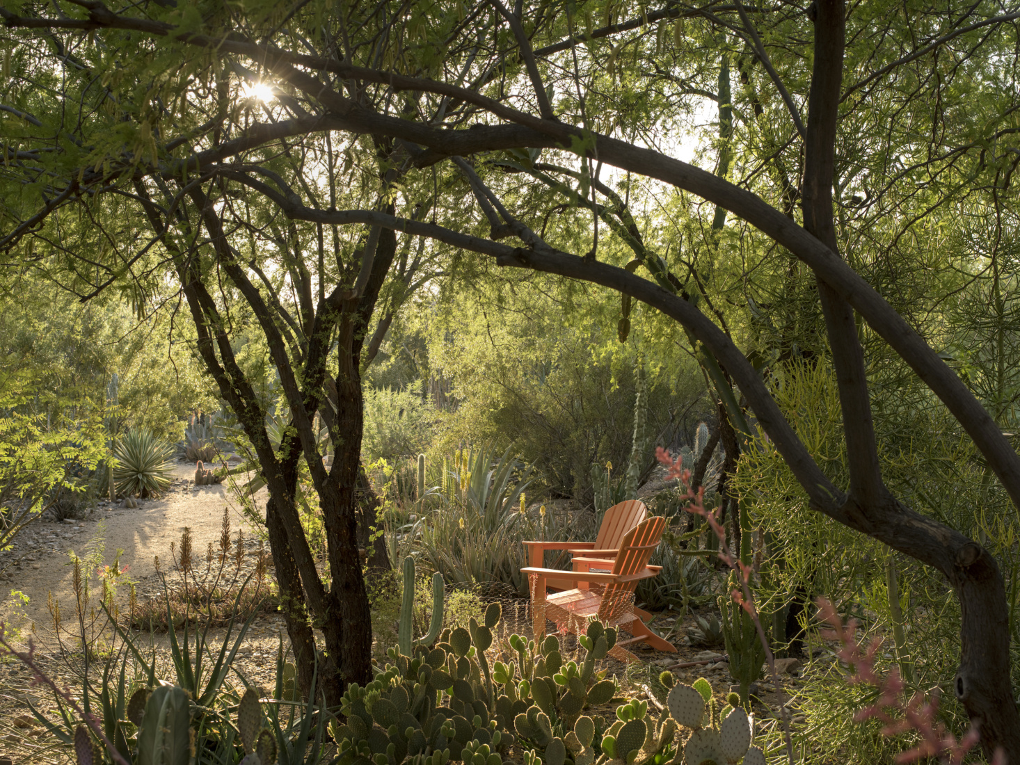 Orange Adirondack Chairs Create a Cozy Seating Nook
