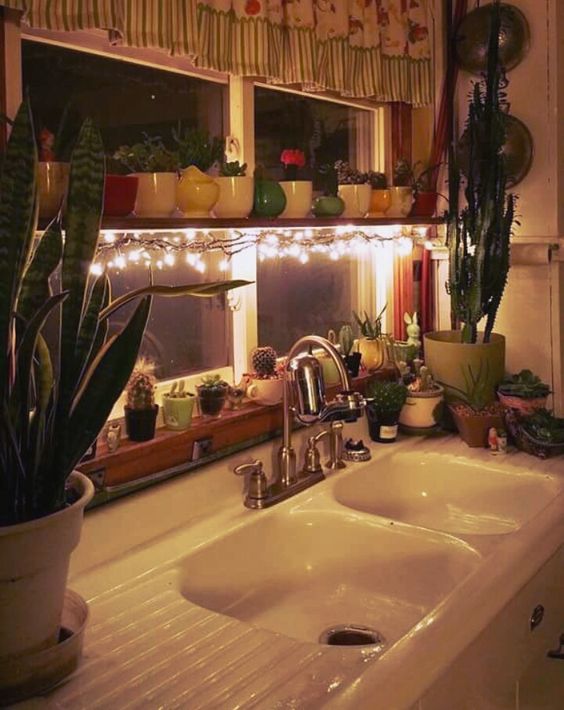 Cactus Collection Adds Desert Charm to Kitchen Window