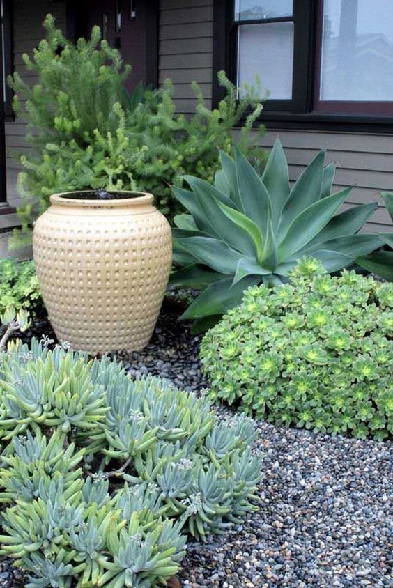Anchor Your Low-Water Design with a Textured Beige Jar
