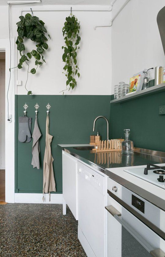 Hanging Pothos Plants Add Cascading Greenery
