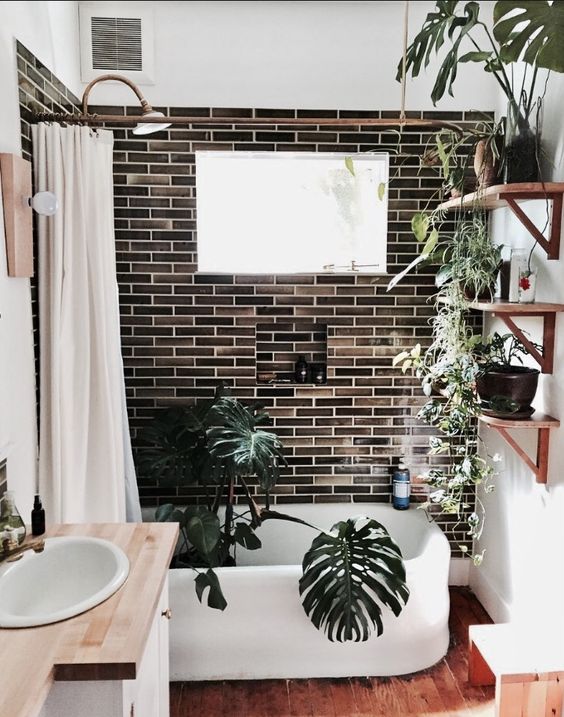 Bring the Outdoors In With Lush Bathtub Plants
