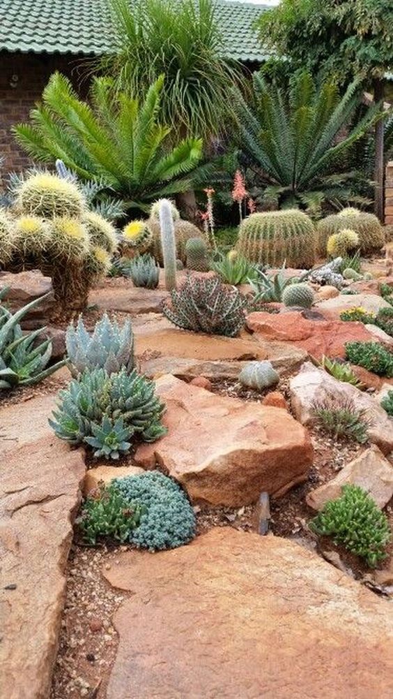 Layered Desert Garden With Varied Rock Sizes