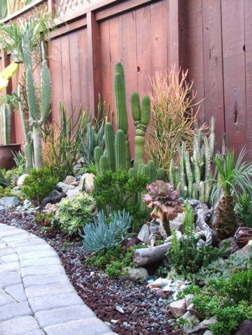 Design a Sculptural Cactus Border with Varying Heights