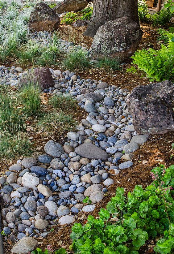 Line a River Rock Path with Clumping Grasses and Ferns