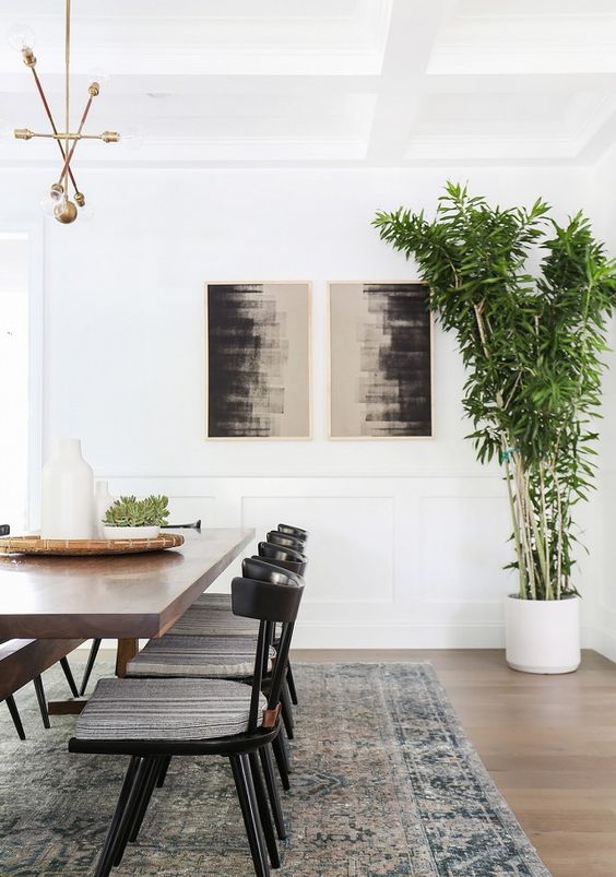 Tall White Planter Adds Vertical Greenery to Dining Space