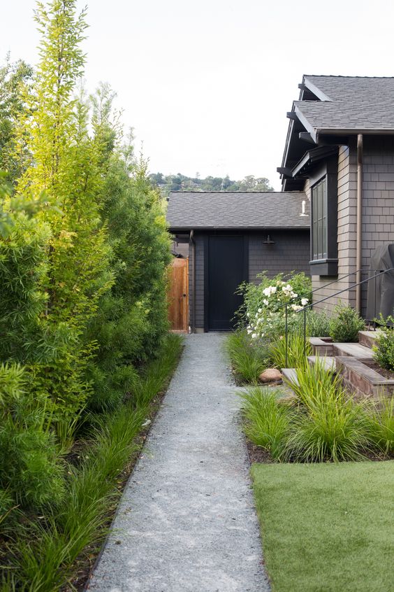 Tall Greenery Creates A Natural Screen Along Pathways