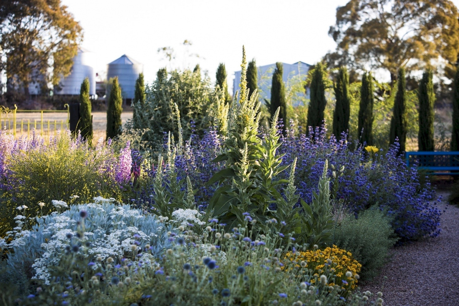 Soften Tall Vertical Plants with Textured Foliage