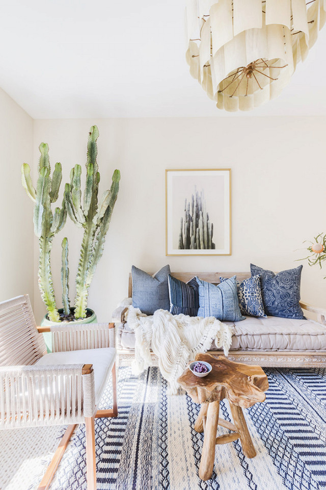 Tall Cactus Adds Dramatic Vertical Greenery