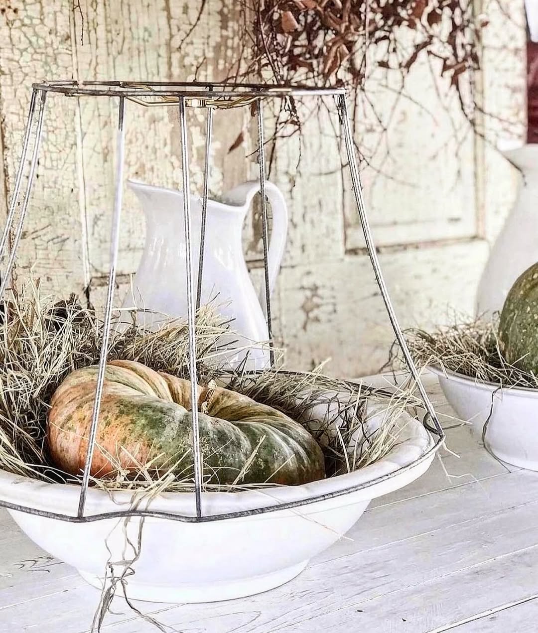 Wire Lamp Shade Creates A Rustic Display Cage
