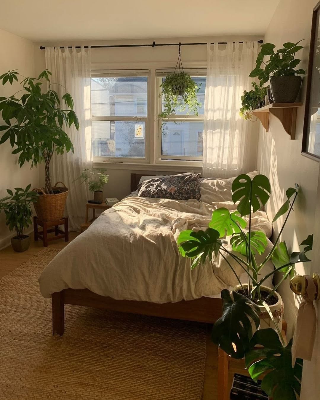 Hanging Plants Add a Layer of Greenery Near Windows