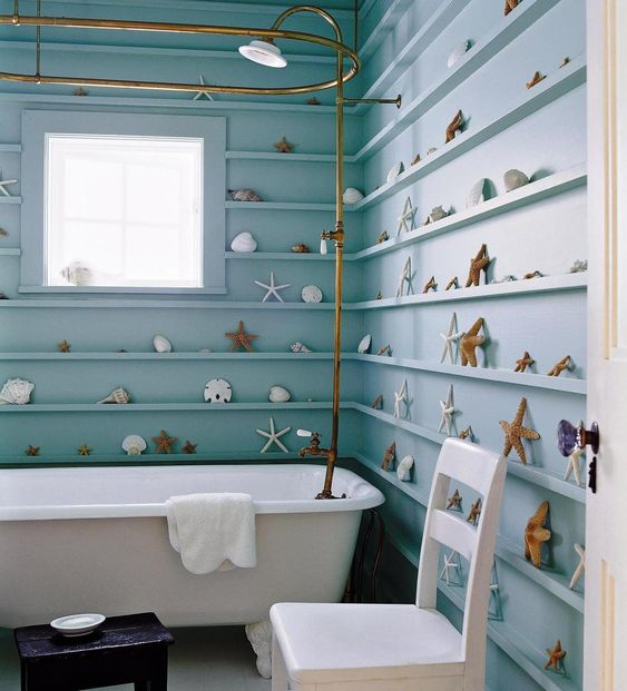 Endless Shelves Display Seashells and Starfish Collections