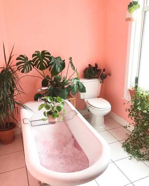 Bathtub Caddy Keeps Plants and Bath Items Within Reach