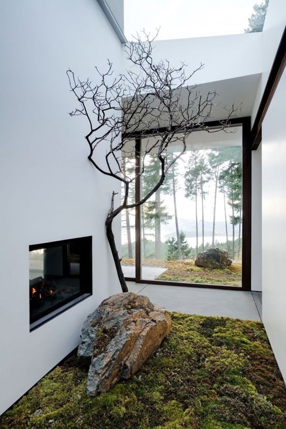 Mossy Ground Cover with Sculptural Bare Branches