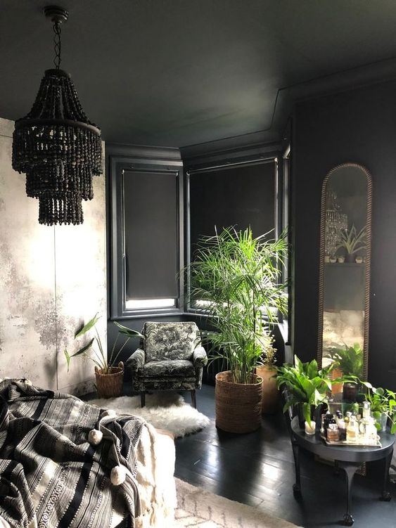Tall Plants Soften Dark Corners