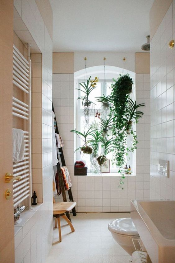Orchid Varieties Hung in Glass Vases