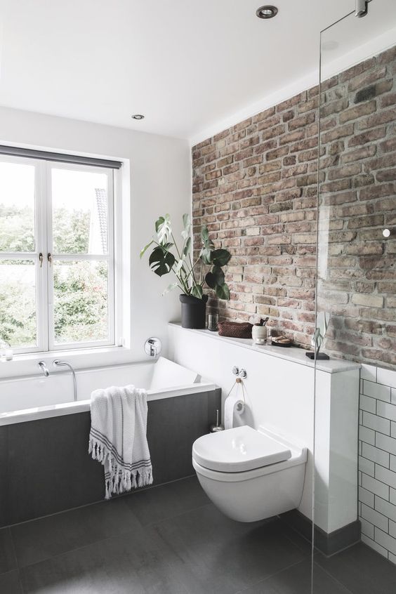 Tall Monstera Plant Adds Life to a Narrow Bathroom Ledge