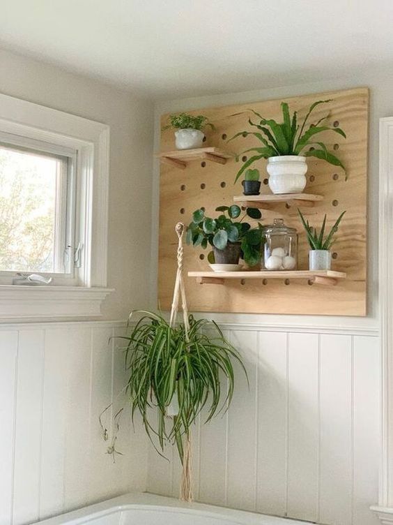 Pegboard Shelves for Flexible Plant Displays