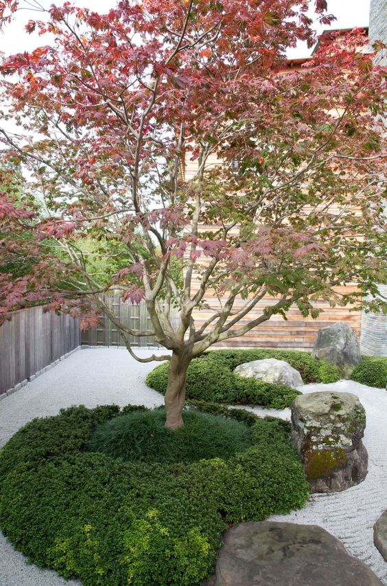 Japanese Maple Anchors Circular Planting Beds