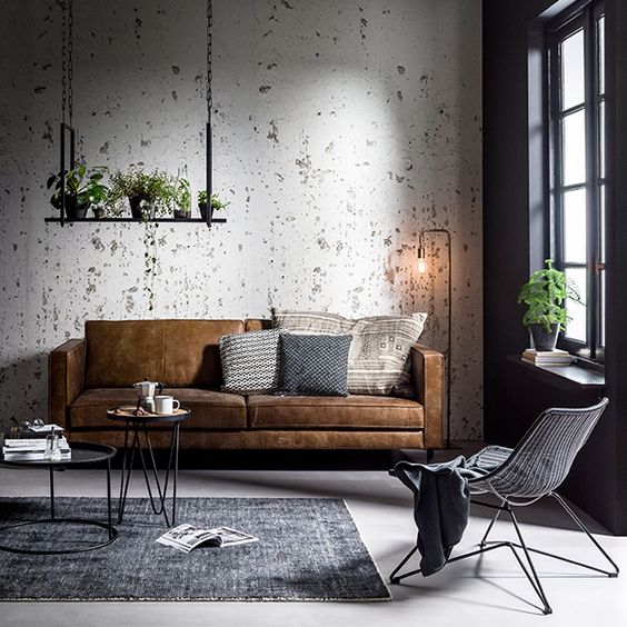 Hanging Shelf With Plants Adds Greenery Above Sofa