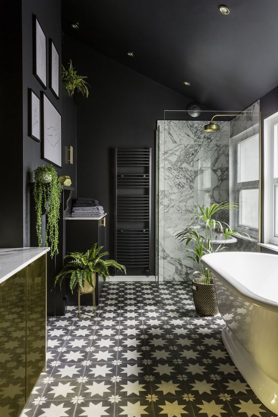 Hanging Plants Add Life To Dark Walls