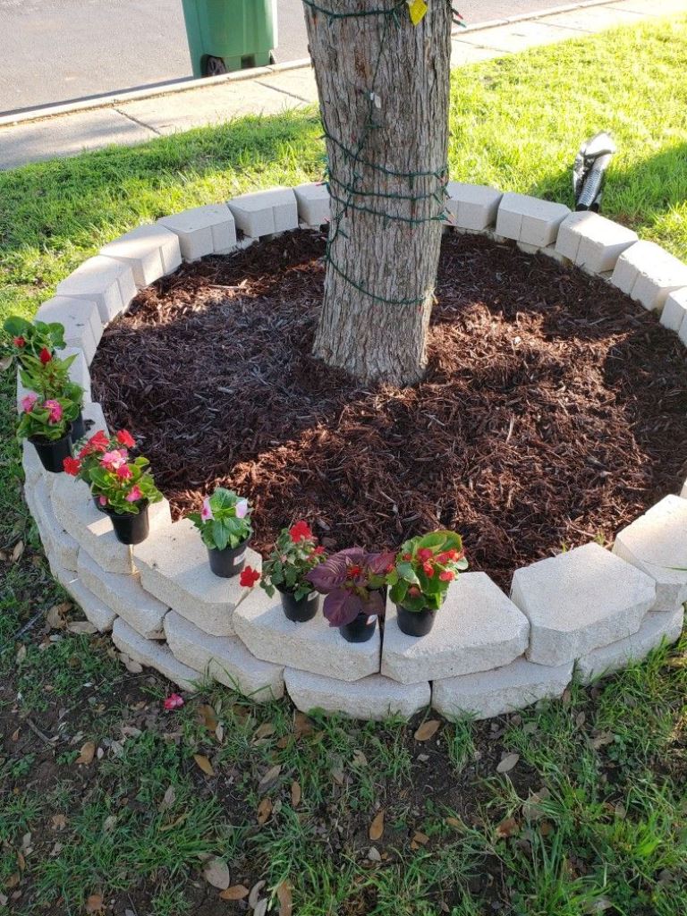 Tiered Stone Border for Tree Rings