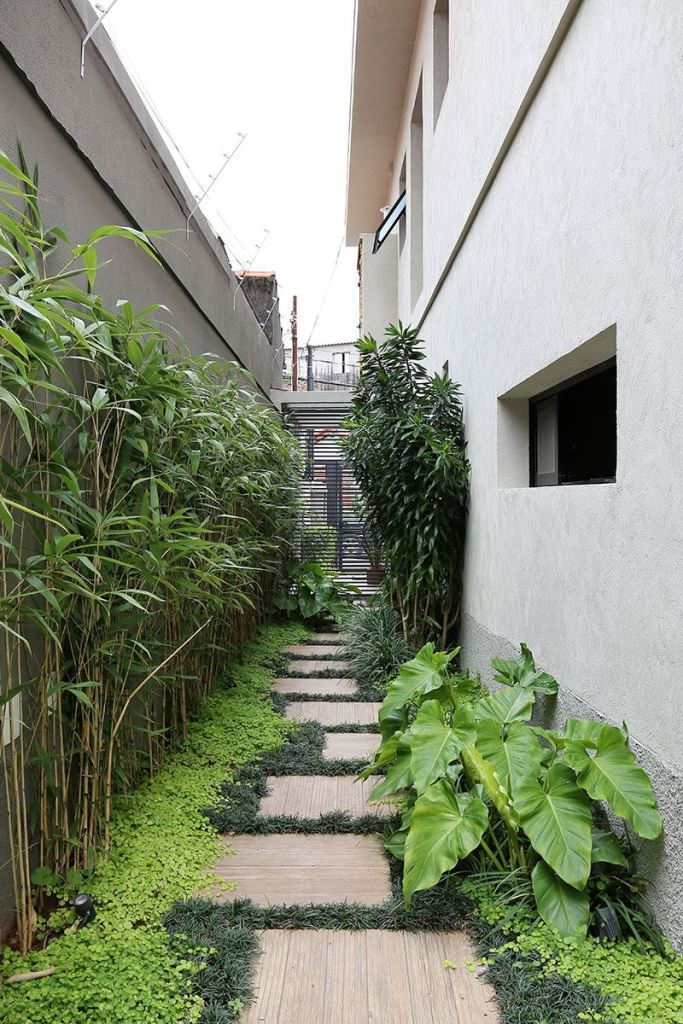 Wood Plank Stepping Stones Softened by Lush Groundcover