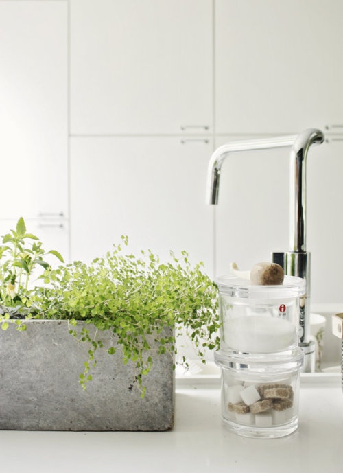 Concrete Planter With Cascading Greenery Adds Natural Texture