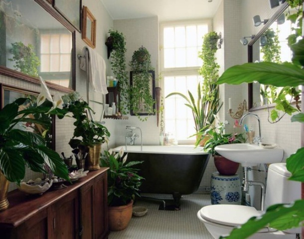 Group Plants on the Vanity for a Lush Vignette