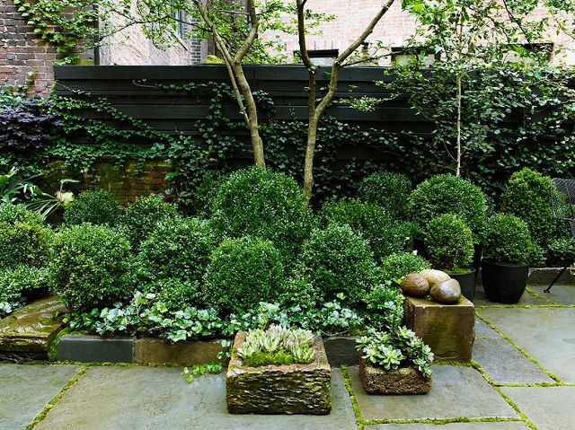 Textured Stone Planters Hold Succulents For A Rustic Touch
