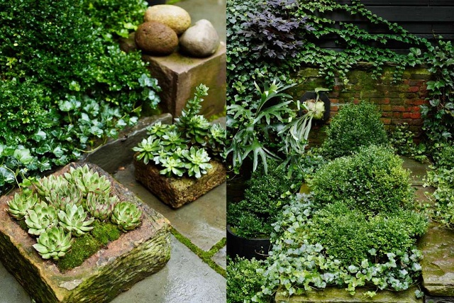 Stone Planters With Moss And Succulents Add Organic Texture