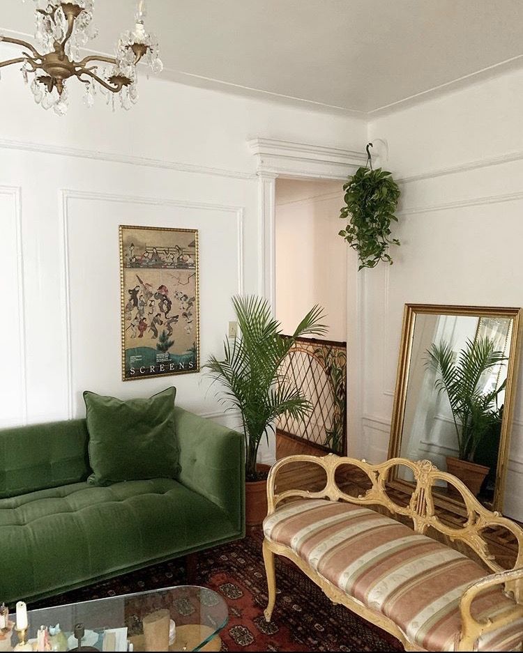 Hanging Pothos Plant Adds Lushness to an Unexpected Corner
