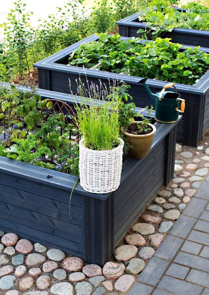 Rustic Contrast with Dark Raised Beds and Stone Paths