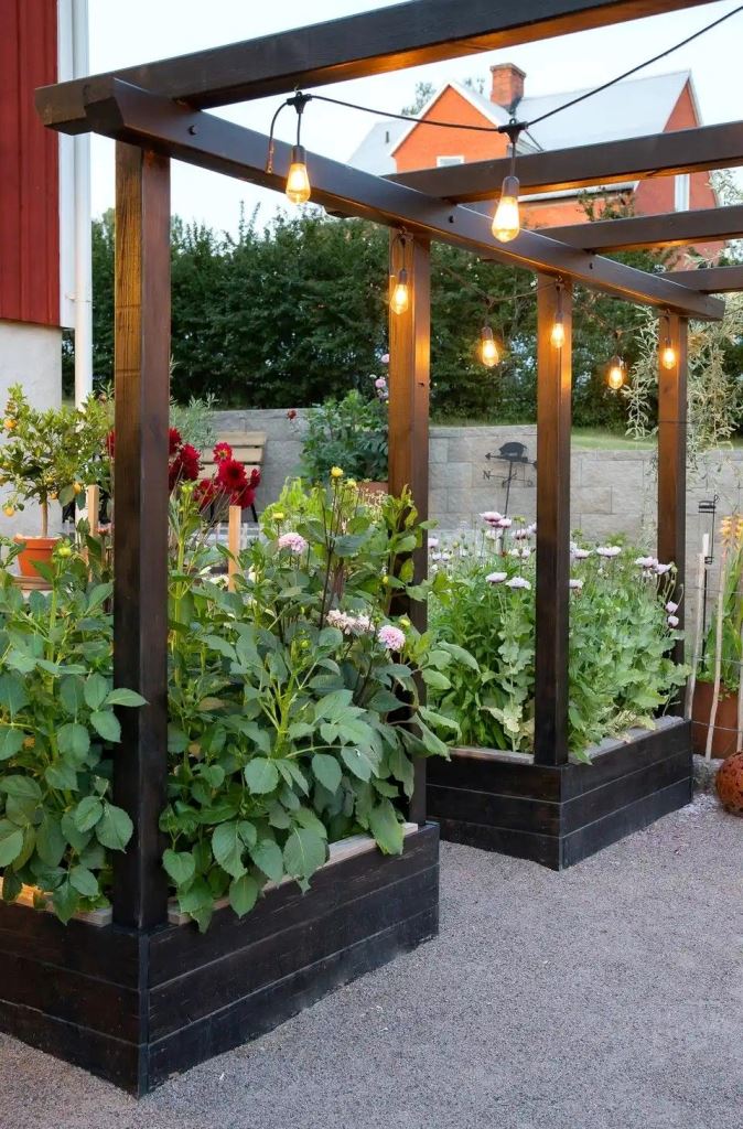 Pergola Lights Frame Garden Beds