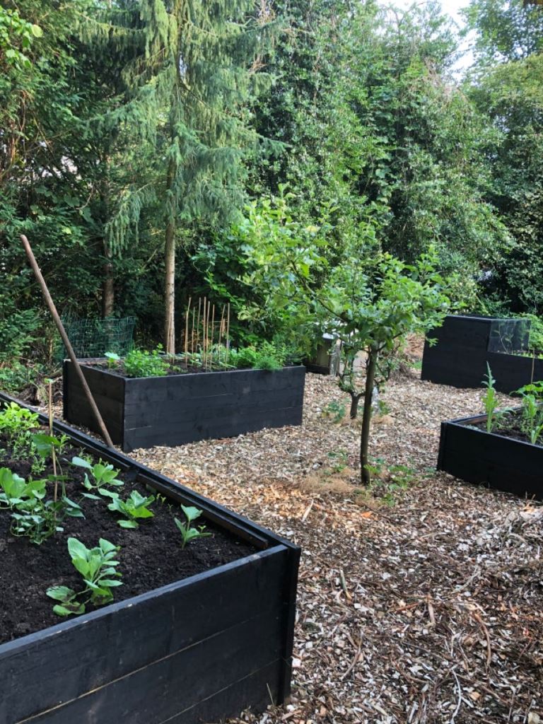 Woodland Aesthetic with Black Wooden Garden Beds