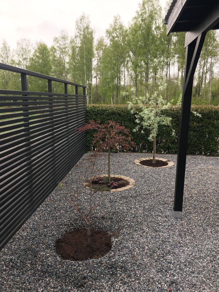 Define Tree Planters with Circular Stone Borders