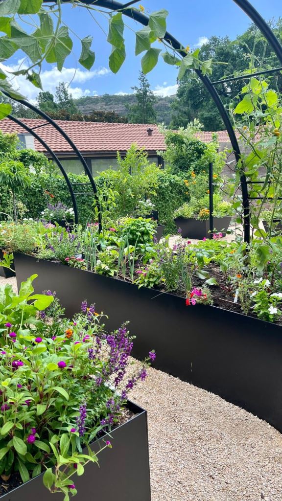 Dramatic Garden Edge with Tall Black Planters