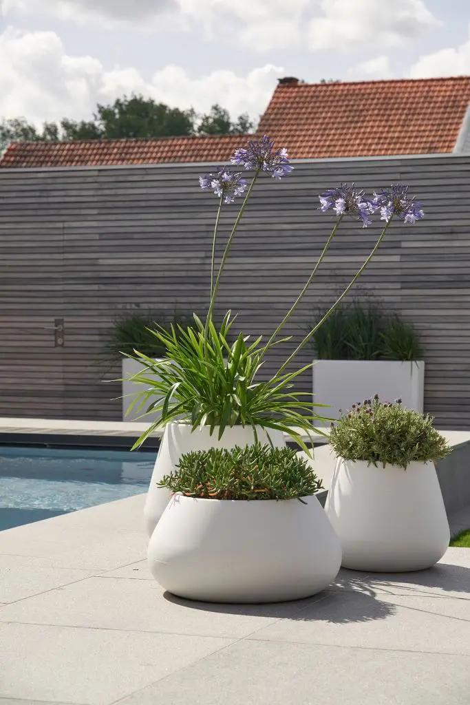 Curved White Planters Add Softness To Paved Areas