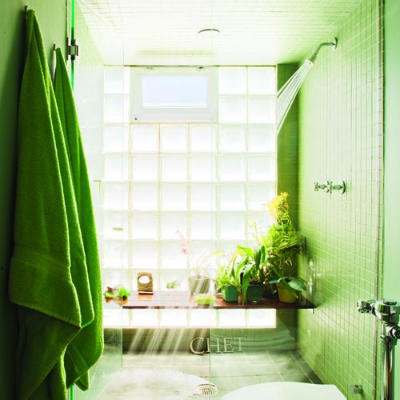 Greenery-Filled Shelf Adds Life to Shower Space