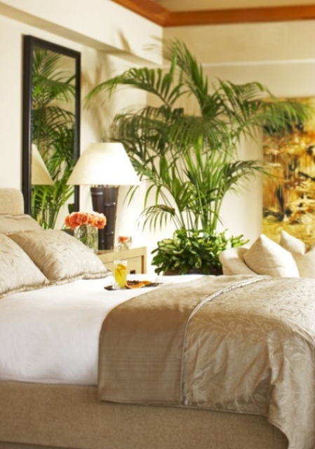 Tall Potted Palms Create a Natural Screen Behind Your Bed