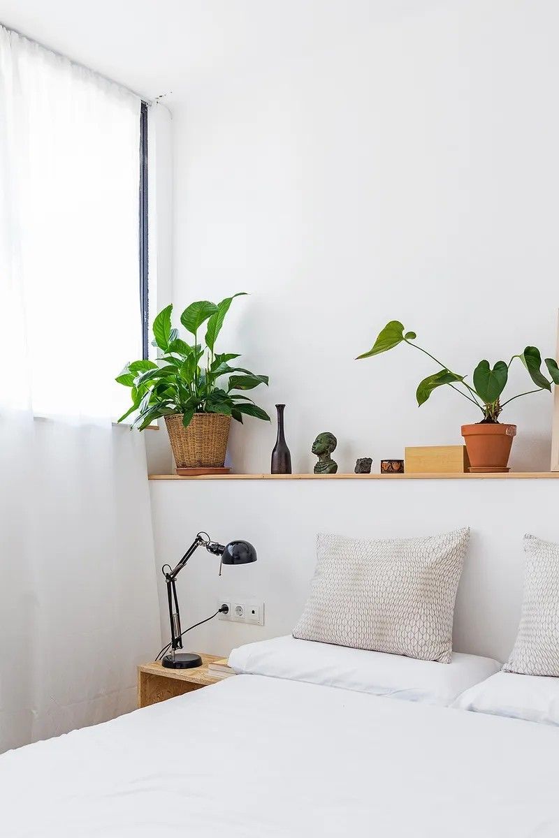 Wooden Shelf Above Bed for Plants and Decor