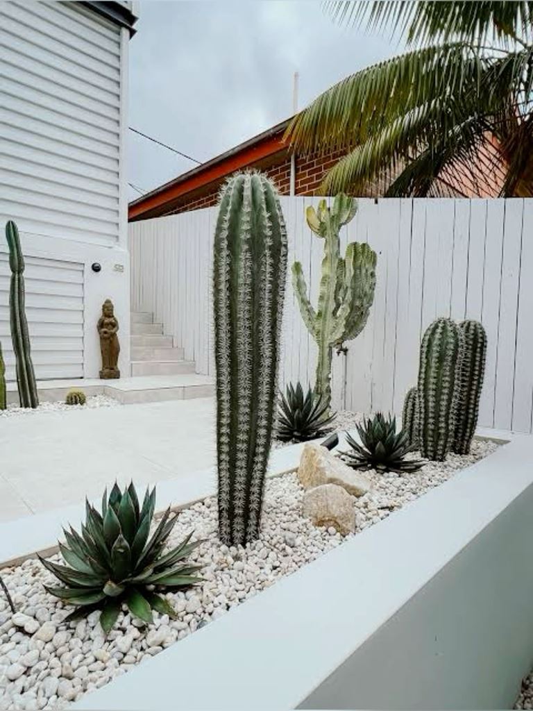 Tall Cacti and Agave Create a Modern Desertscape
