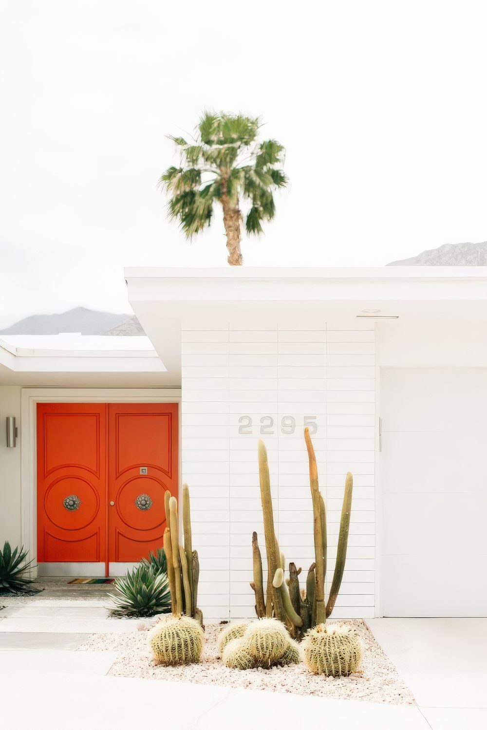 Cactus Groupings Add Desert Texture to a Modern Entry