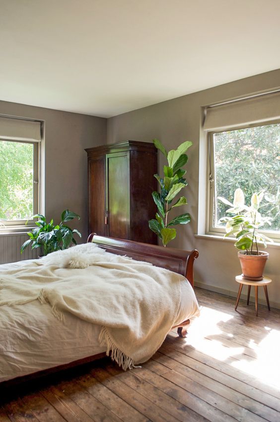 Tall Fiddle Leaf Fig Adds Natural Height Next to the Bed