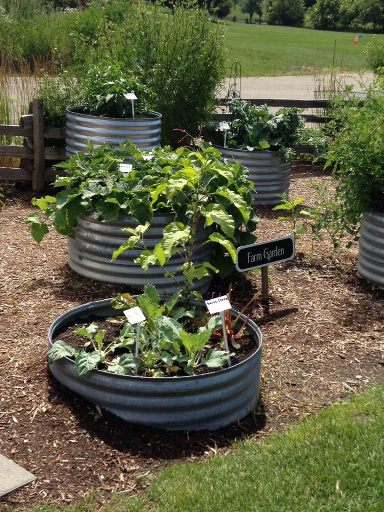 Accessible Vegetable Patches With Low Metal Rings