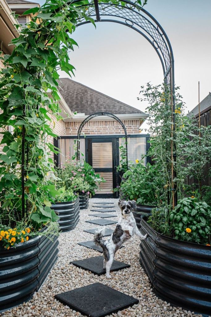 Modern Pathways Defined by Corrugated Black Garden Beds