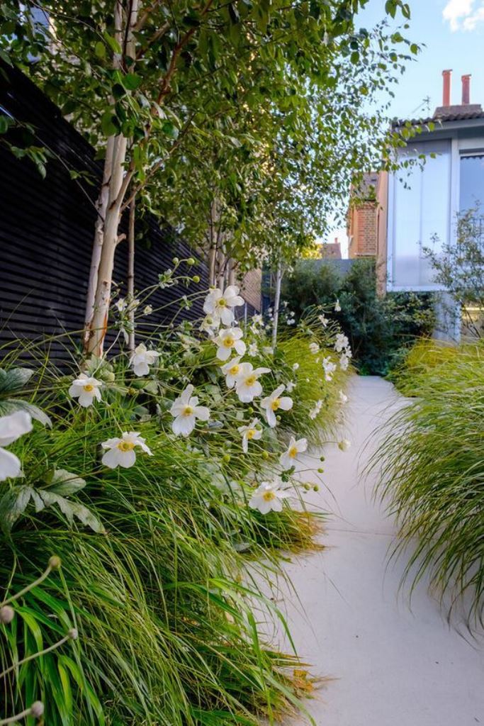 White Anemones Soften a Modern Path with Grasses