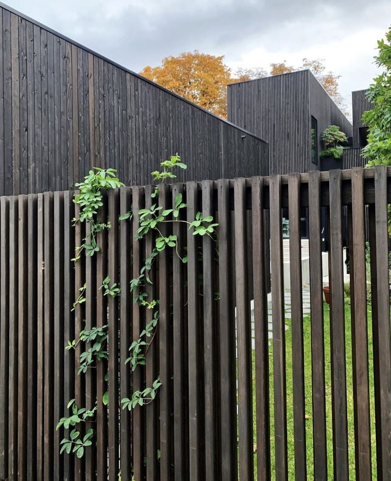 Soften Dark Vertical Slats with Vining Plants